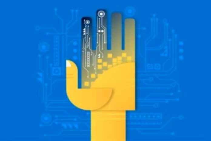 IT Sector Has A Leading Role In Digital Transformation